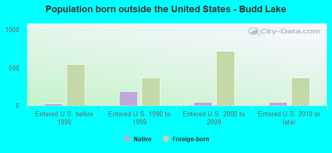 Population born outside the United States - Budd Lake