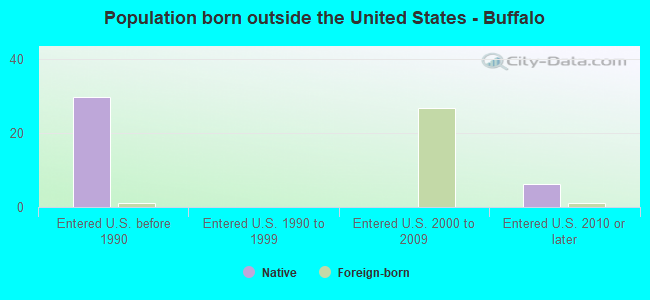 Population born outside the United States - Buffalo