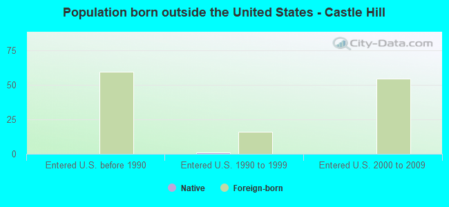 Population born outside the United States - Castle Hill