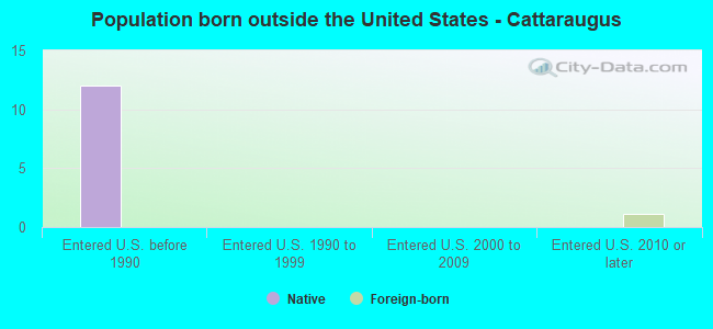 Population born outside the United States - Cattaraugus