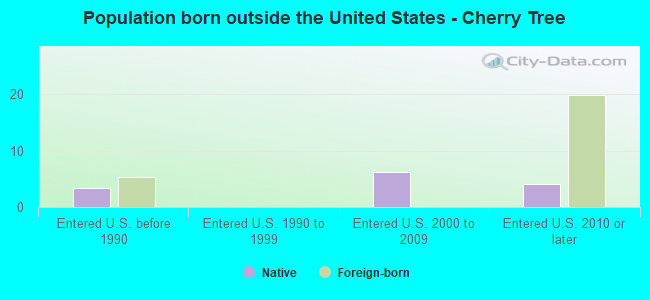 Population born outside the United States - Cherry Tree