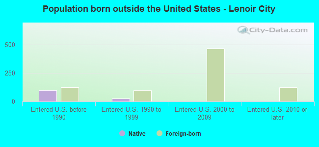 Population born outside the United States - Lenoir City