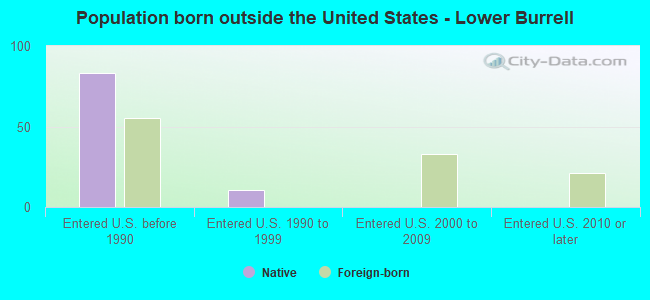 Population born outside the United States - Lower Burrell