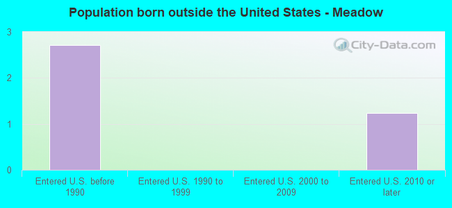 Population born outside the United States - Meadow