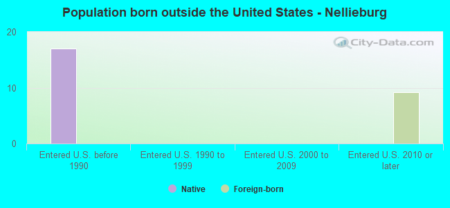 Population born outside the United States - Nellieburg