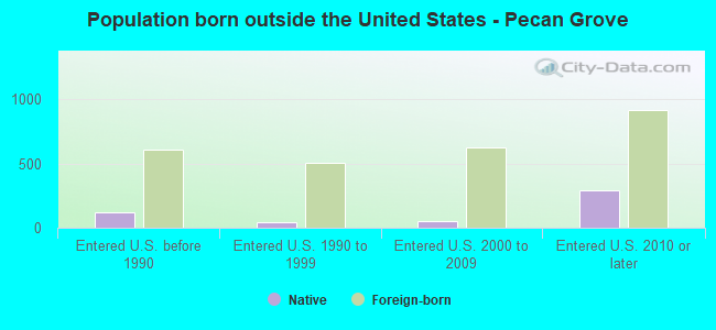 Population born outside the United States - Pecan Grove