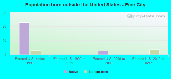 Population born outside the United States - Pine City