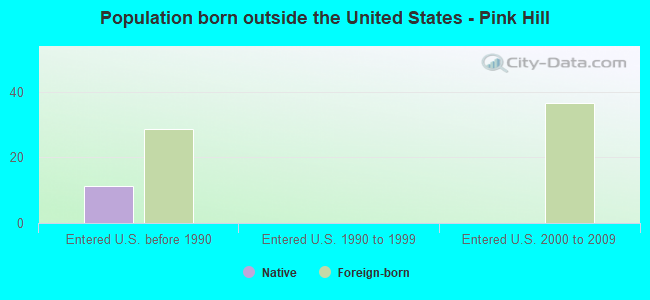 Population born outside the United States - Pink Hill