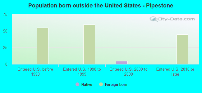 Population born outside the United States - Pipestone
