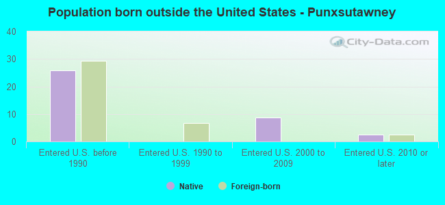 Population born outside the United States - Punxsutawney