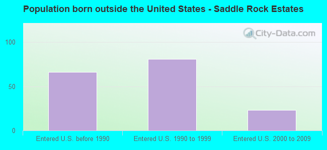 Population born outside the United States - Saddle Rock Estates