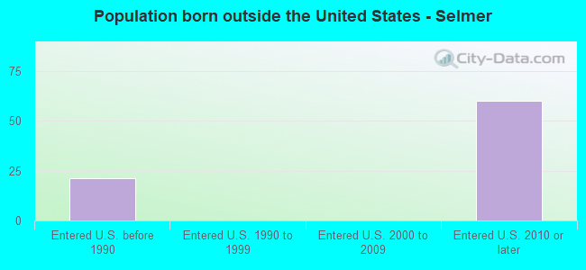 Population born outside the United States - Selmer