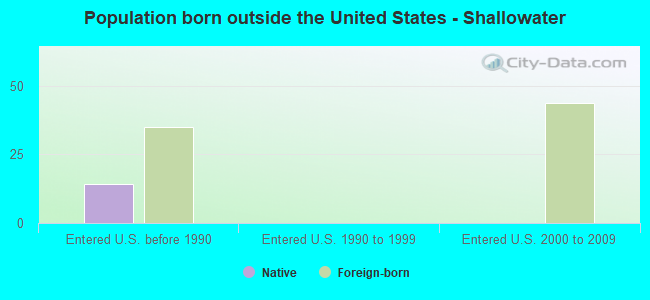 Population born outside the United States - Shallowater