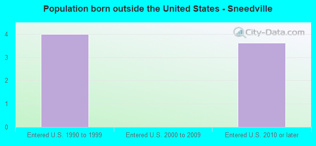 Population born outside the United States - Sneedville