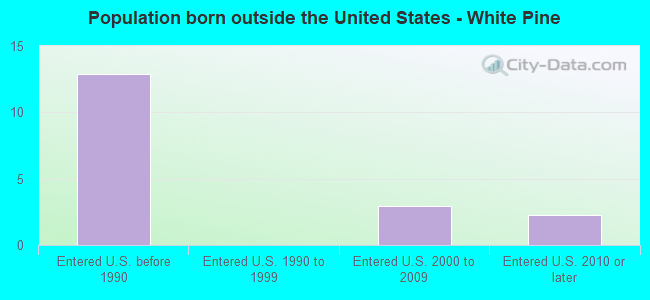 Population born outside the United States - White Pine