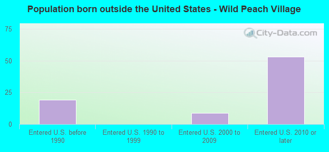 Population born outside the United States - Wild Peach Village
