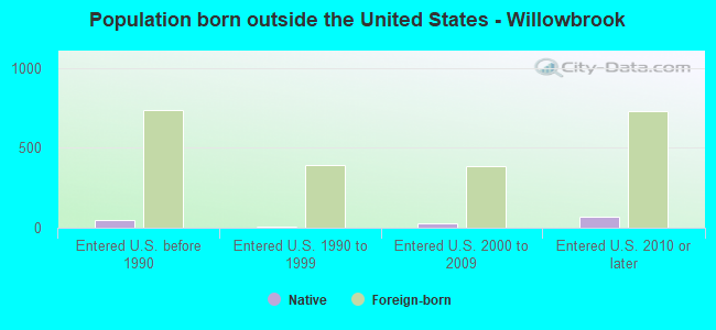 Population born outside the United States - Willowbrook