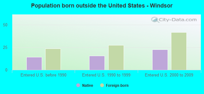 Population born outside the United States - Windsor