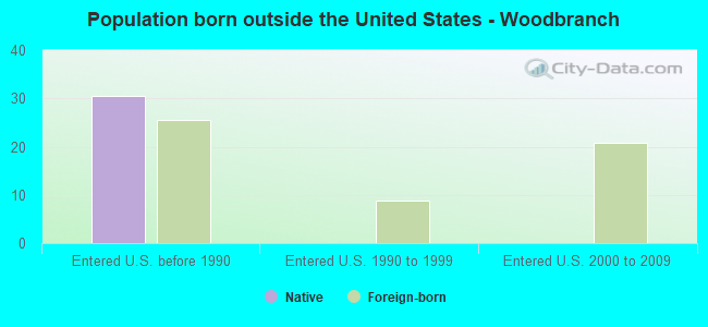 Population born outside the United States - Woodbranch