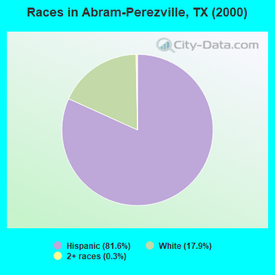 Races in Abram-Perezville, TX (2000)