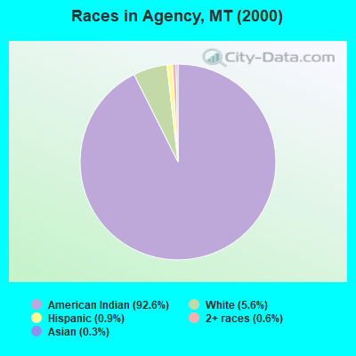 Races in Agency, MT (2000)