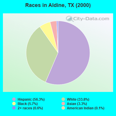 Races in Aldine, TX (2000)
