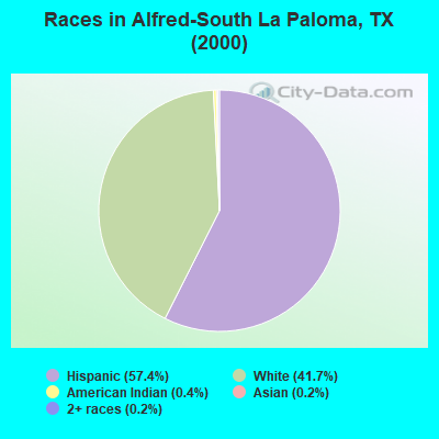 Races in Alfred-South La Paloma, TX (2000)