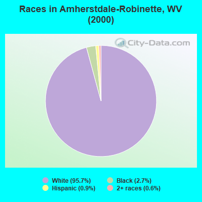 Races in Amherstdale-Robinette, WV (2000)