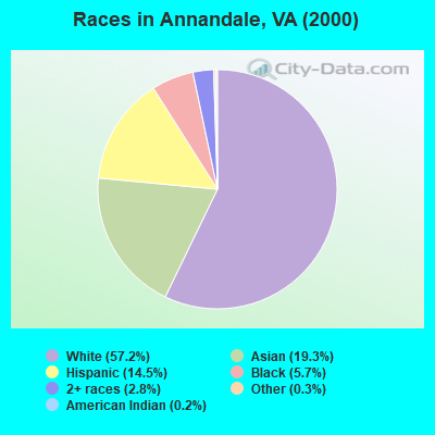 Races in Annandale, VA (2000)
