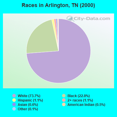 Races in Arlington, TN (2000)