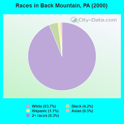 Races in Back Mountain, PA (2000)