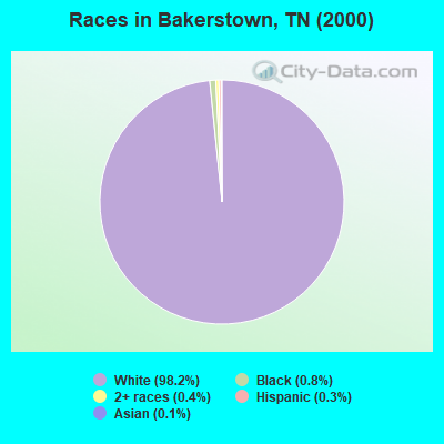 Races in Bakerstown, TN (2000)