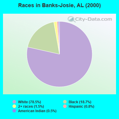 Races in Banks-Josie, AL (2000)