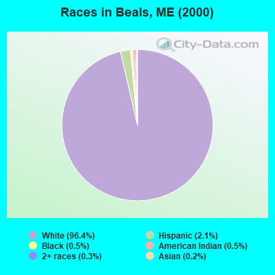 Races in Beals, ME (2000)
