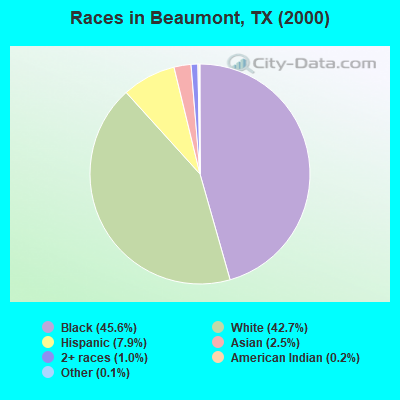 Races in Beaumont Texas TX White Black Hispanic Asian