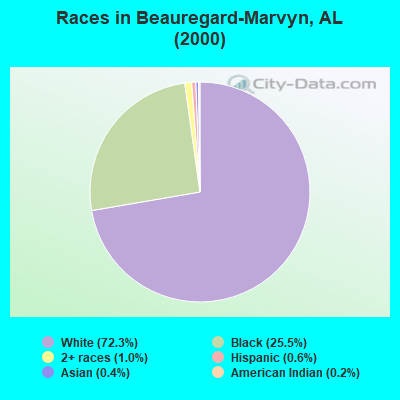 Races in Beauregard-Marvyn, AL (2000)