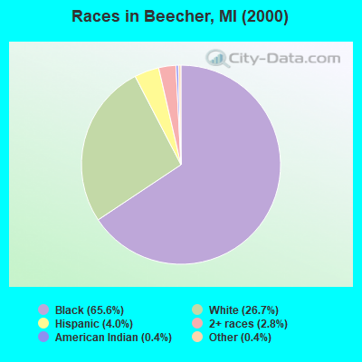 Races in Beecher, MI (2000)