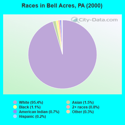 Races in Bell Acres, PA (2000)