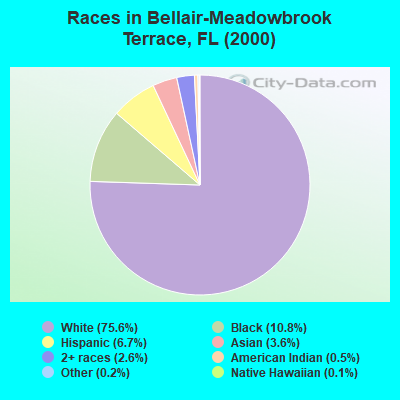 Races in Bellair-Meadowbrook Terrace, FL (2000)