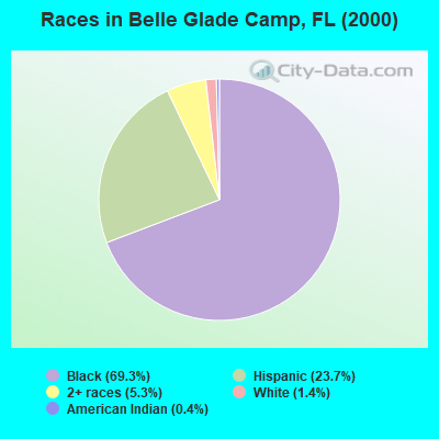 Races in Belle Glade Camp, FL (2000)