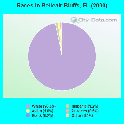 Races in Belleair Bluffs, FL (2000)