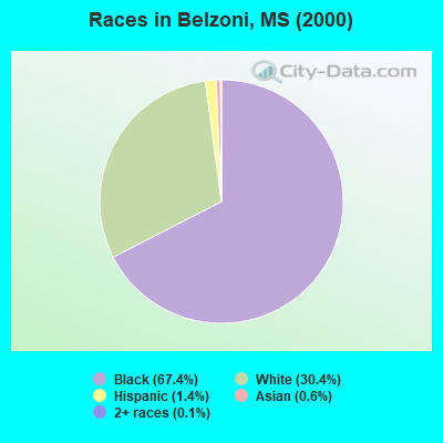 Races in Belzoni, MS (2000)