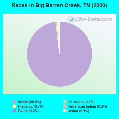 Races in Big Barren Creek, TN (2000)