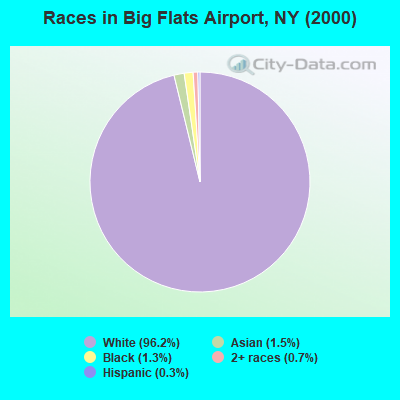 Races in Big Flats Airport, NY (2000)