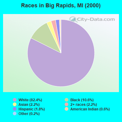 Races in Big Rapids, MI (2000)
