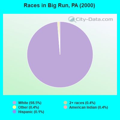 Races in Big Run, PA (2000)