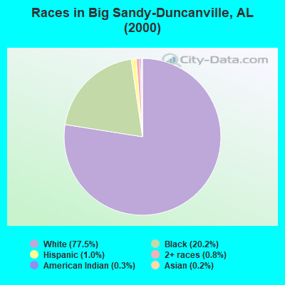 Races in Big Sandy-Duncanville, AL (2000)