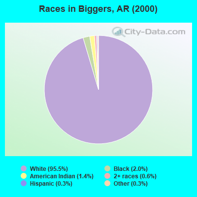 Races in Biggers, AR (2000)
