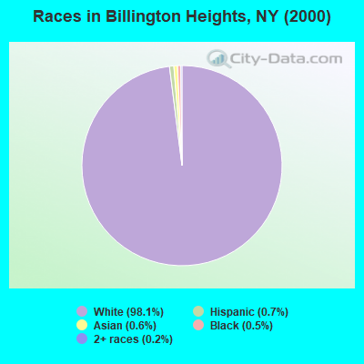 Races in Billington Heights, NY (2000)