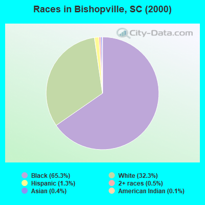 Races in Bishopville, SC (2000)